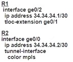 300-415 dumps exhibit