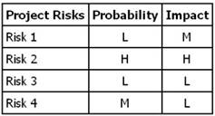 PMI-100 dumps exhibit